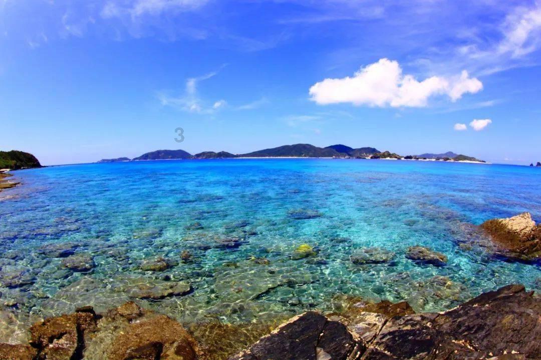 狂野的飙客